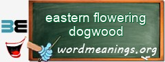 WordMeaning blackboard for eastern flowering dogwood